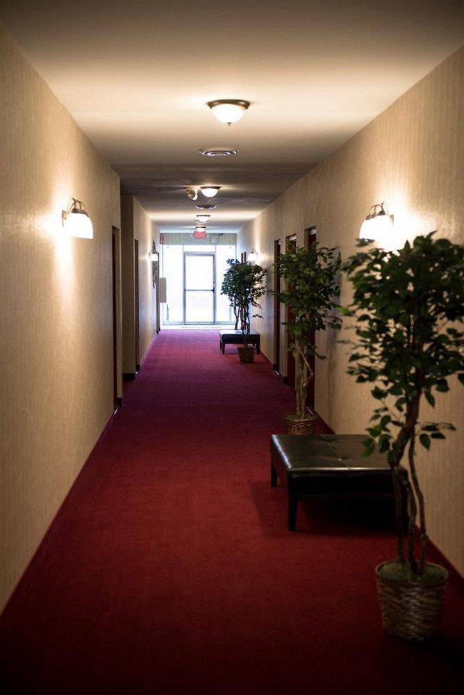 Pacer Inn & Suites Motel Delaware Luaran gambar